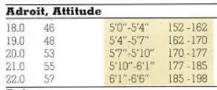 Attitude sizes.webp