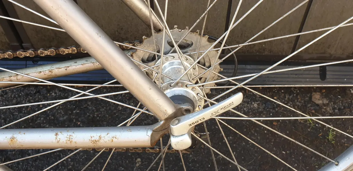 Bike7.webp
