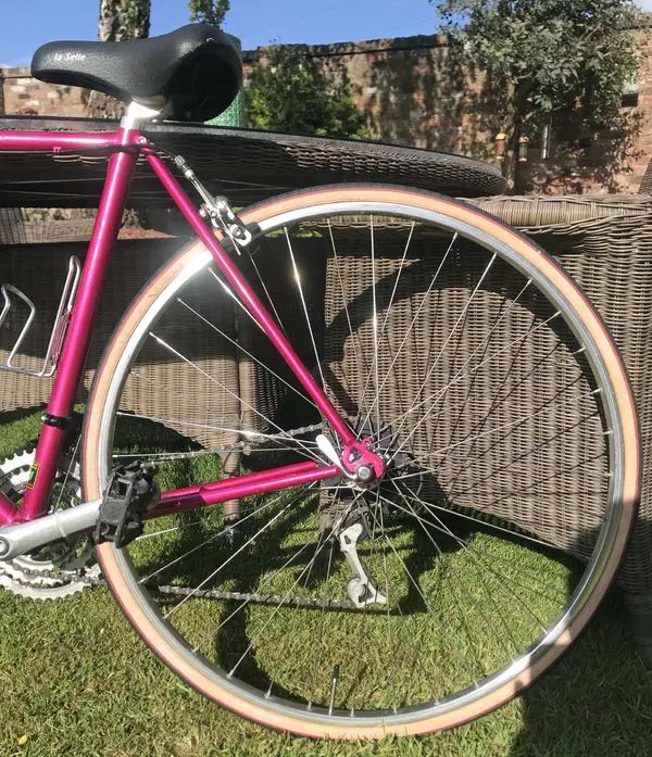 Bike Back 1.webp
