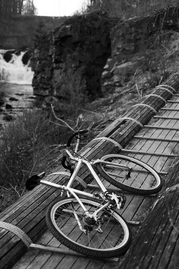 _DSC5377.webp