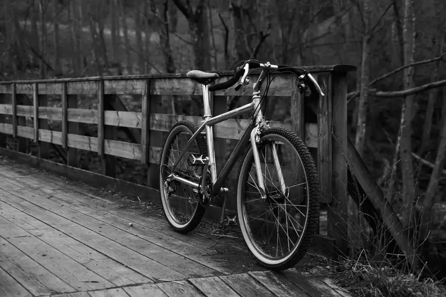 _DSC5363.webp