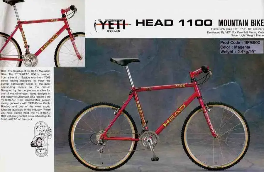 head02d.webp