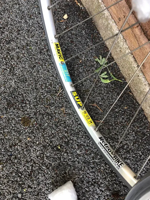 Mavic 217 xt a.webp