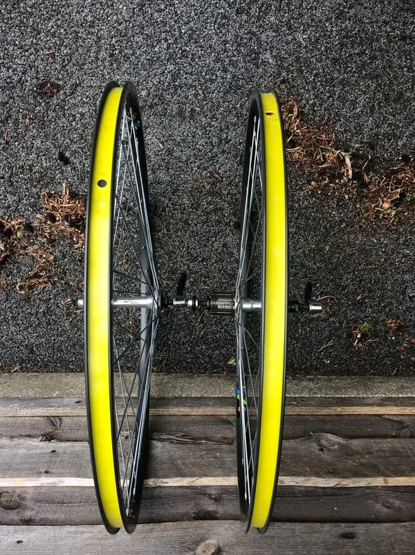dx wolber3 2mp.webp