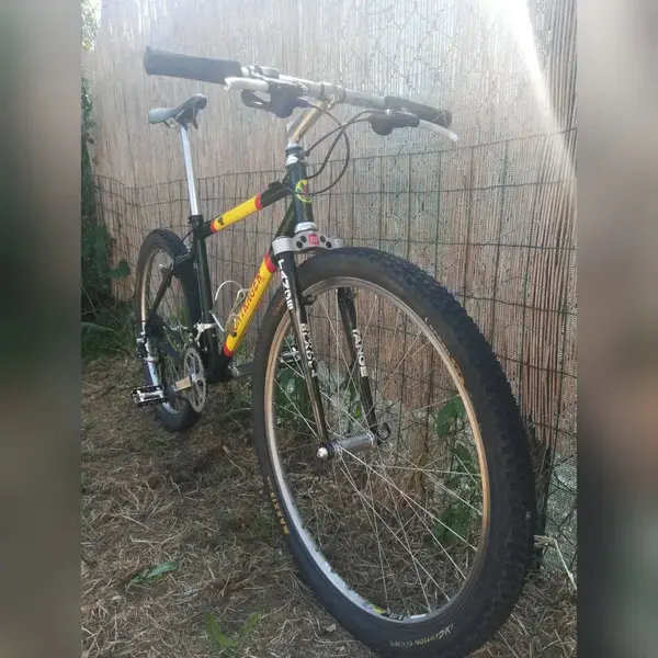 bontrager klein 1.webp