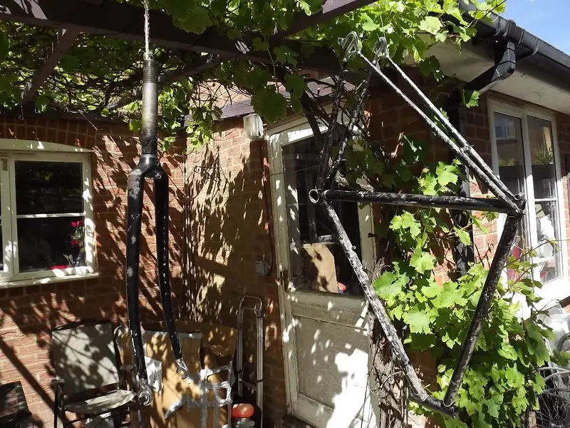 DSCF4444.webp