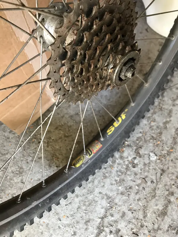 wheel.webp