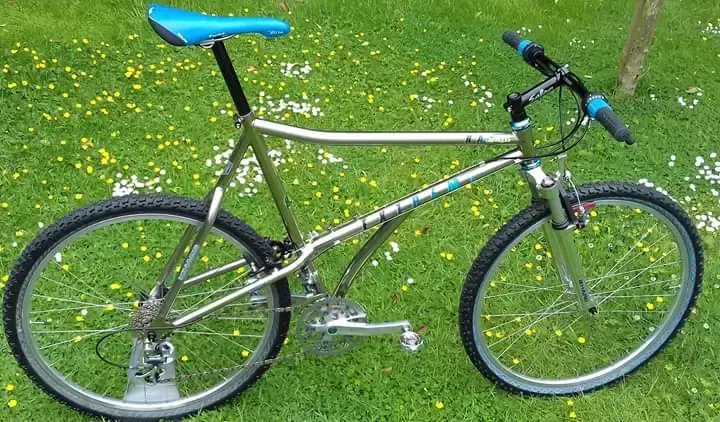 1. al's '91 Haro Extreme Titanium.webp