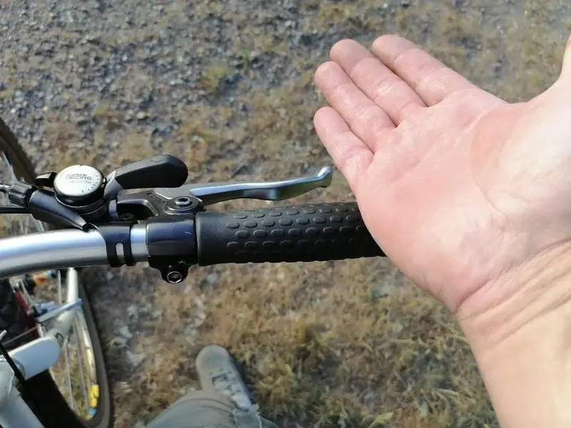 no gloves.webp