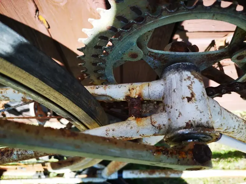 BIKE (13).webp