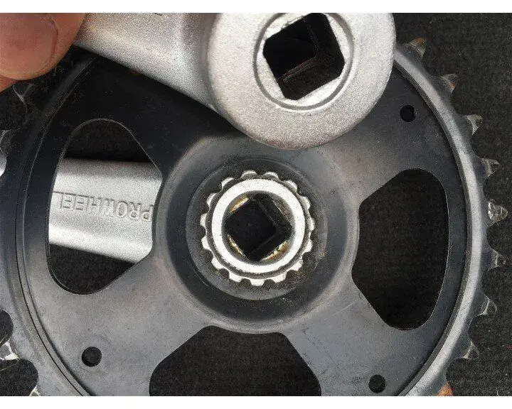IB-2.webp