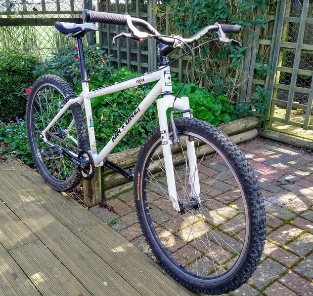 IMG_20200407_113535747_HDR.webp