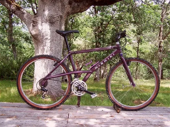 NISHIKI ALIEN.webp NISHIKI ALIEN.webp