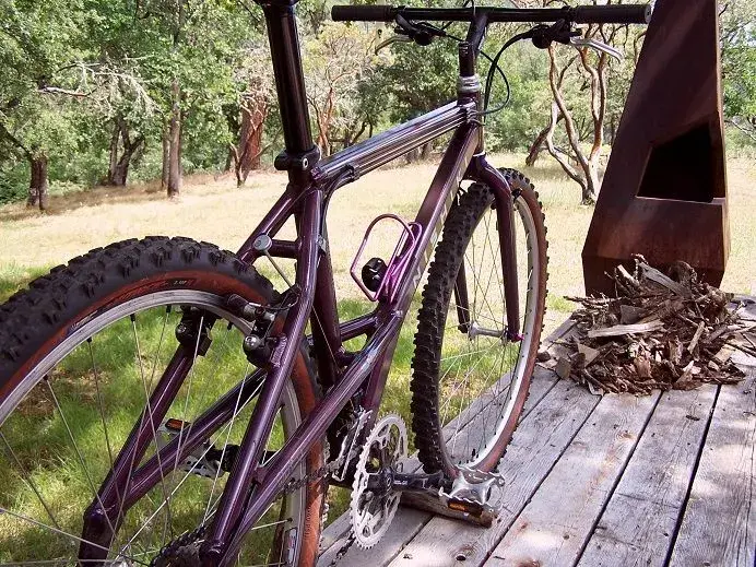 NISHIKI ALIEN 2.webp NISHIKI ALIEN 2.webp