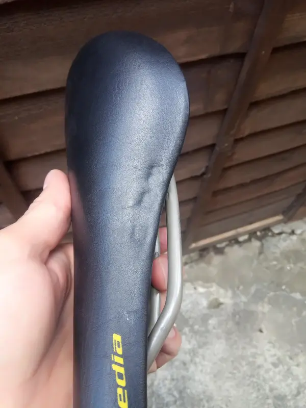 Saddle 2.webp