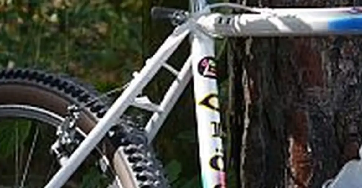 tasty bike.webp
