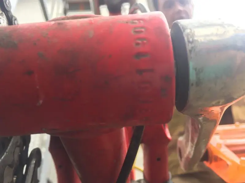 Image-1.webp