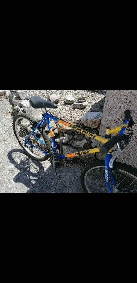 Raleigh Banana.webp