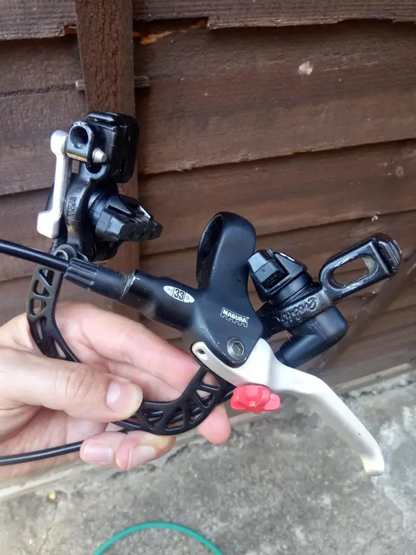 Magura 1.webp