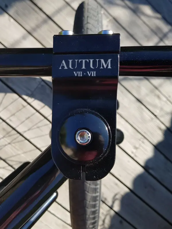 Autum Minion 2.webp