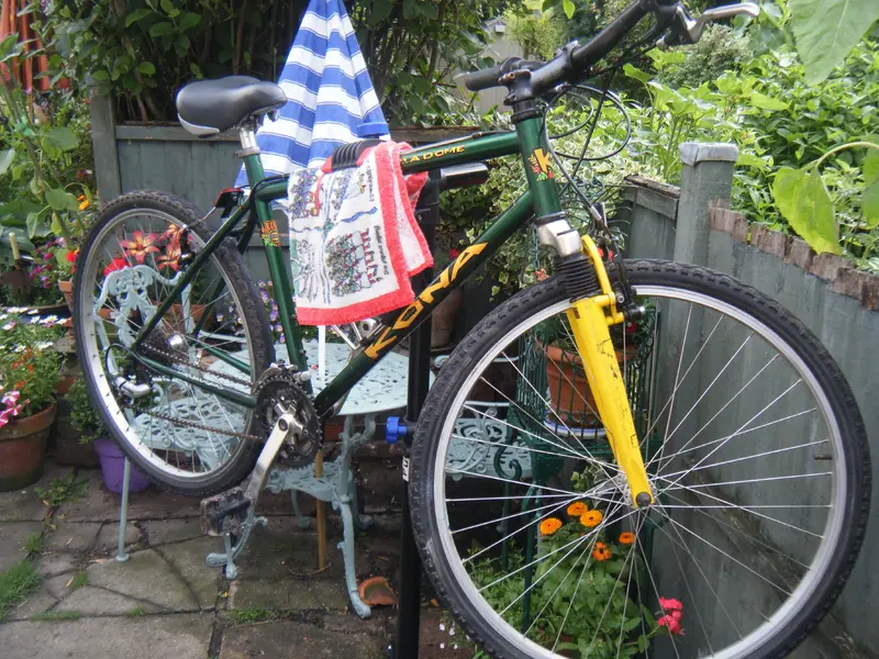 DSCF5661.webp