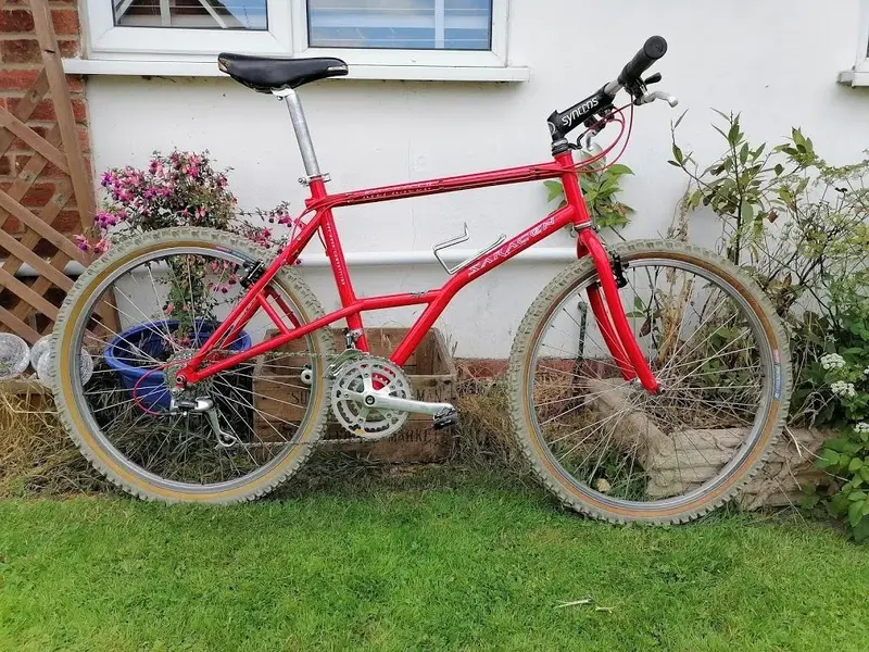 saracen11.webp