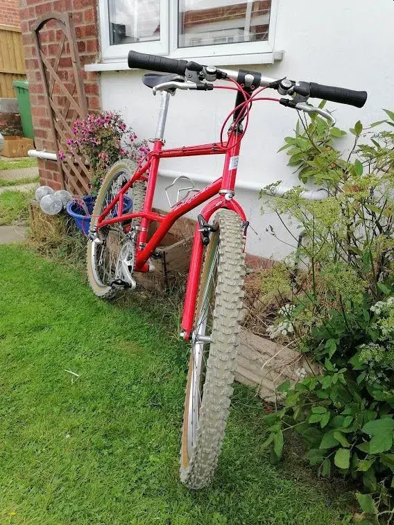 saracen13.webp