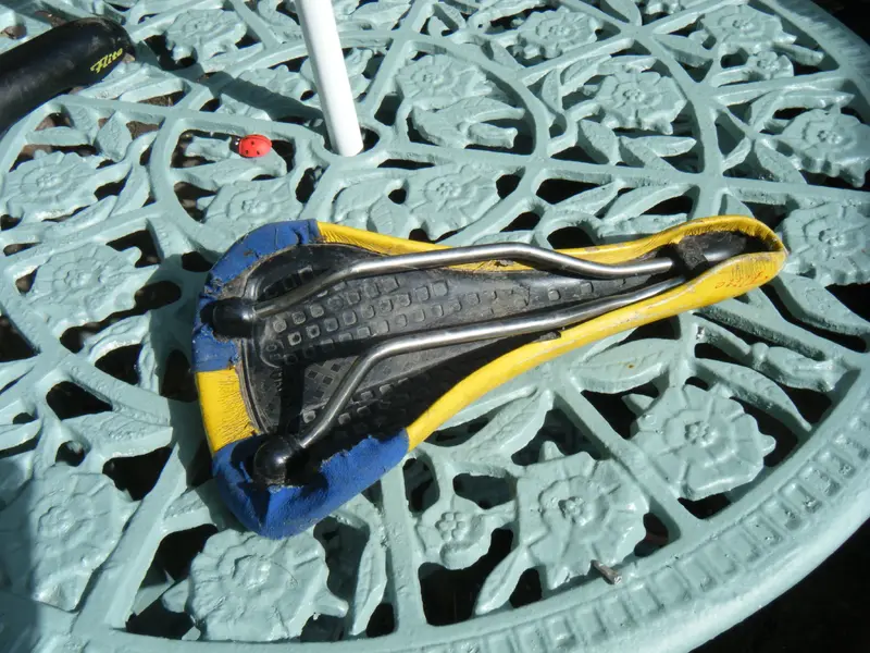 DSCF5686.webp