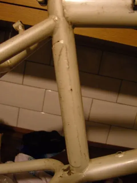 SNC12914.webp
