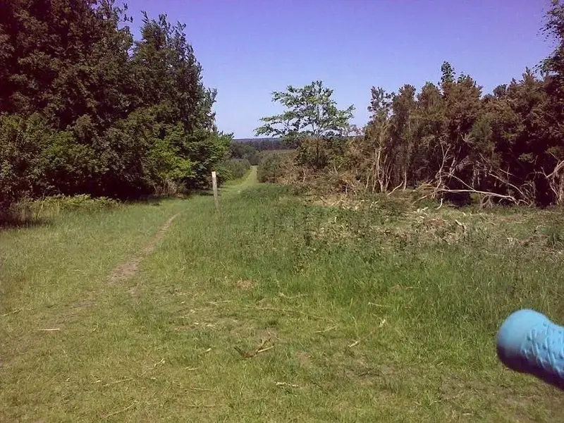 30052009274.webp