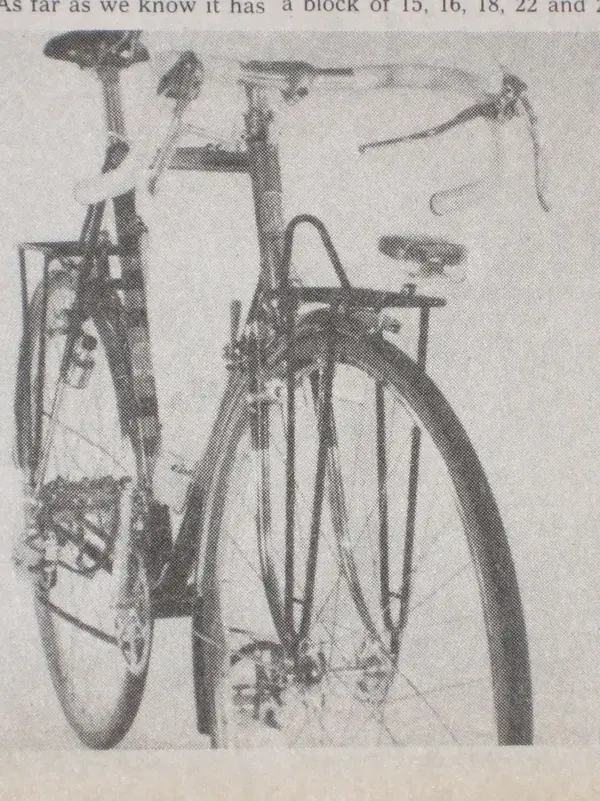 Norman Fay brochure 3.webp