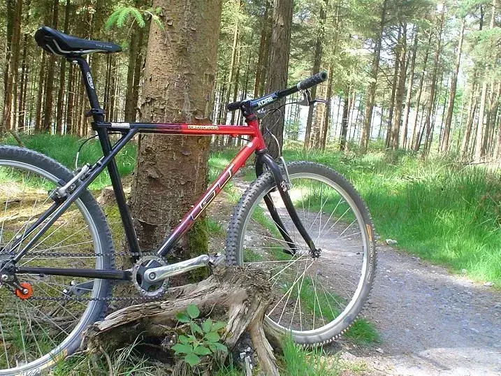 haldon 011.webp