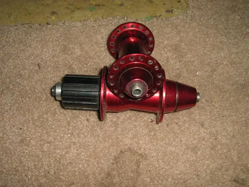 Picture 027 (Medium).webp