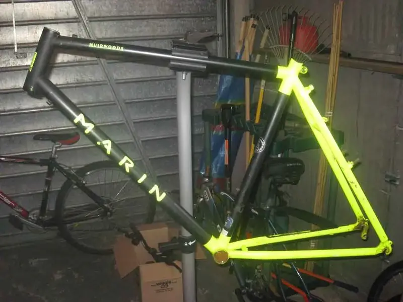 marin stripped.webp