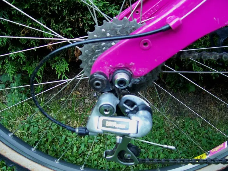 rear dropout.webp