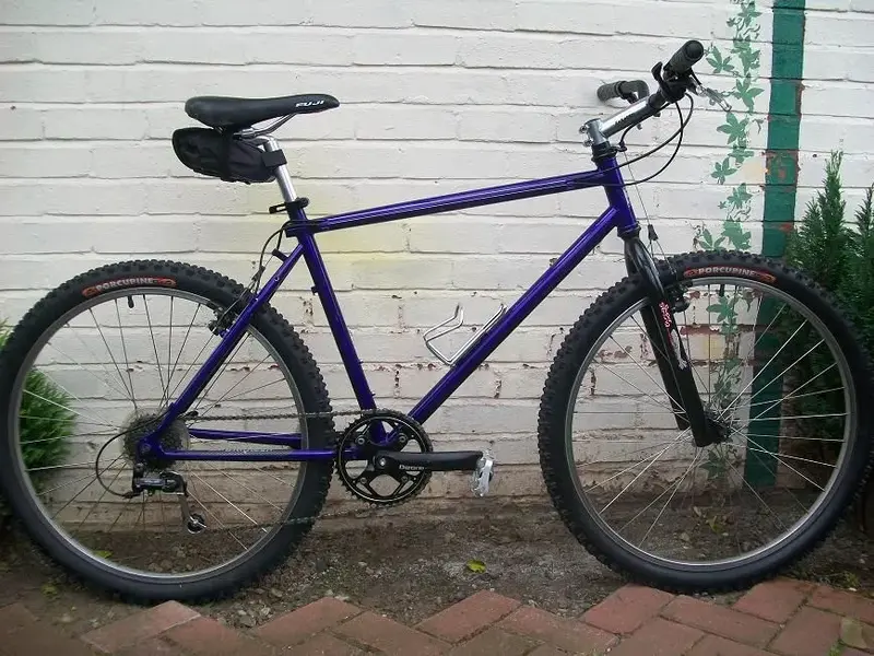 my saracen.webp