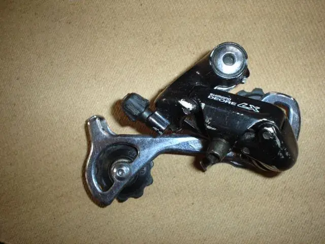 DSC03345.webp