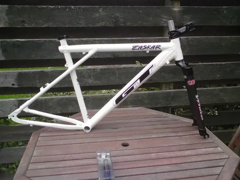 My Zask With Decals.webp