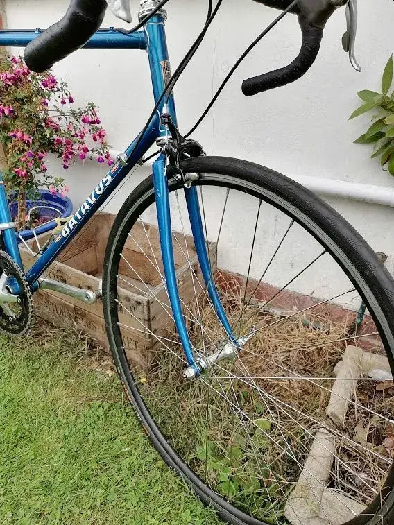 batavus3.webp