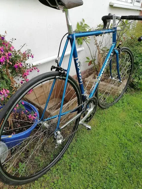 batavus4.webp