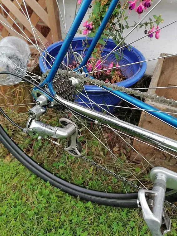 batavus5.webp