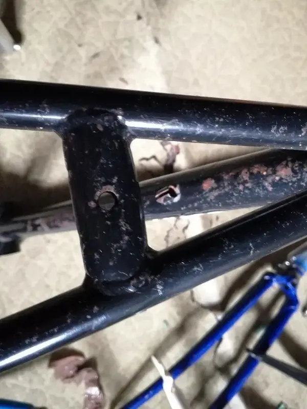 rear bridge_LR.webp
