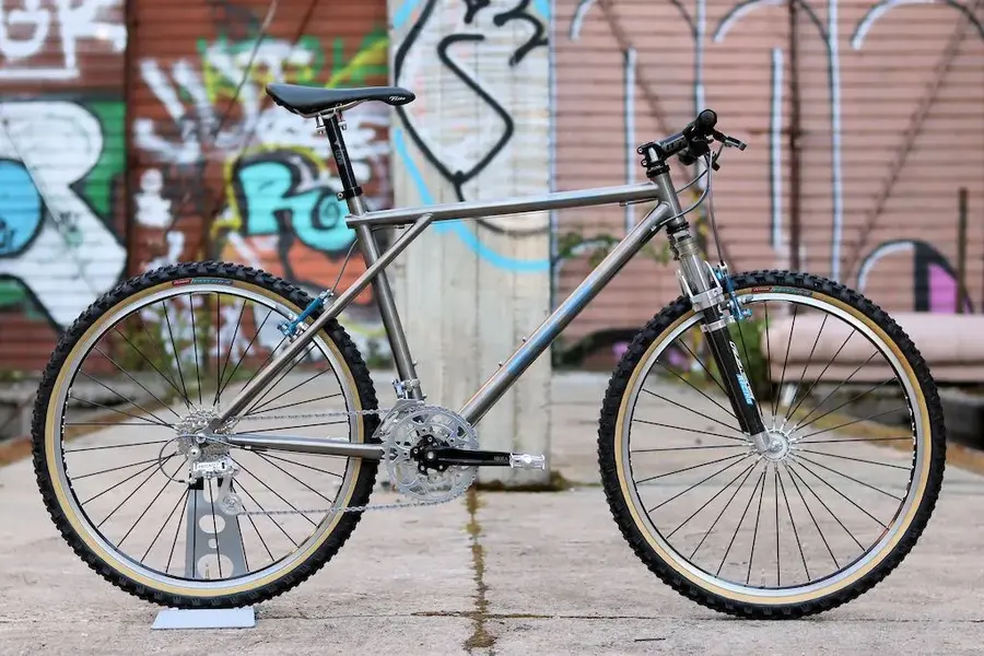 5.Dami's 1997 GT Lightning.webp