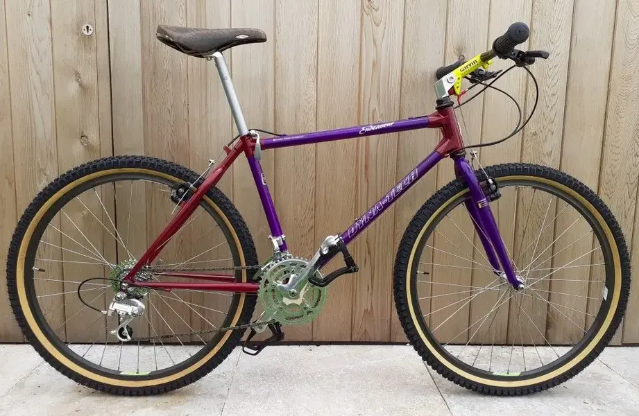 1. boy.O.boy's 1991 Raleigh Dynatech Endeavour.webp