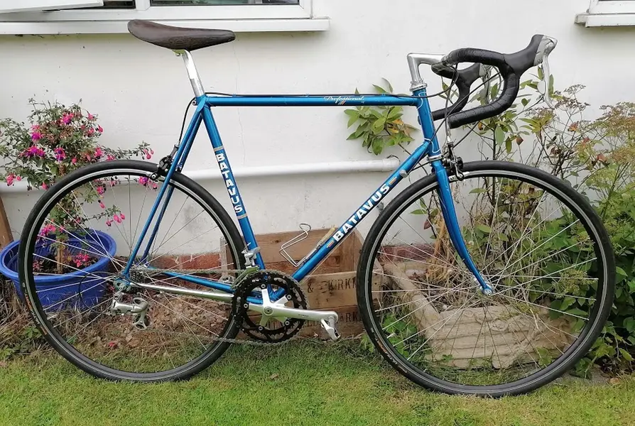 batavus big ring1.webp