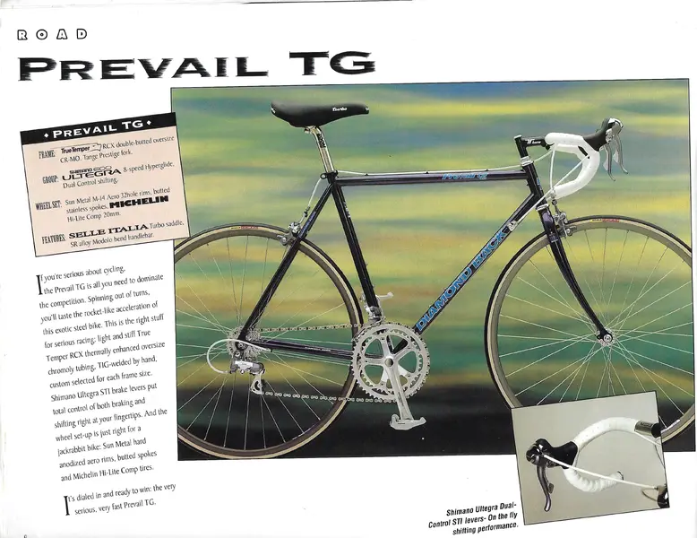 Diamond Back 1993_C&R_Page_08.webp