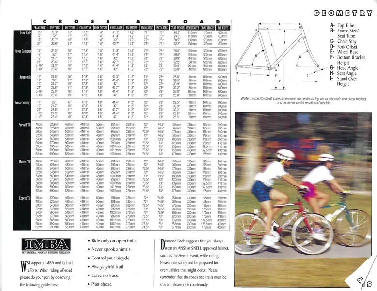 Diamond Back 1993_C&R_Page_11.webp