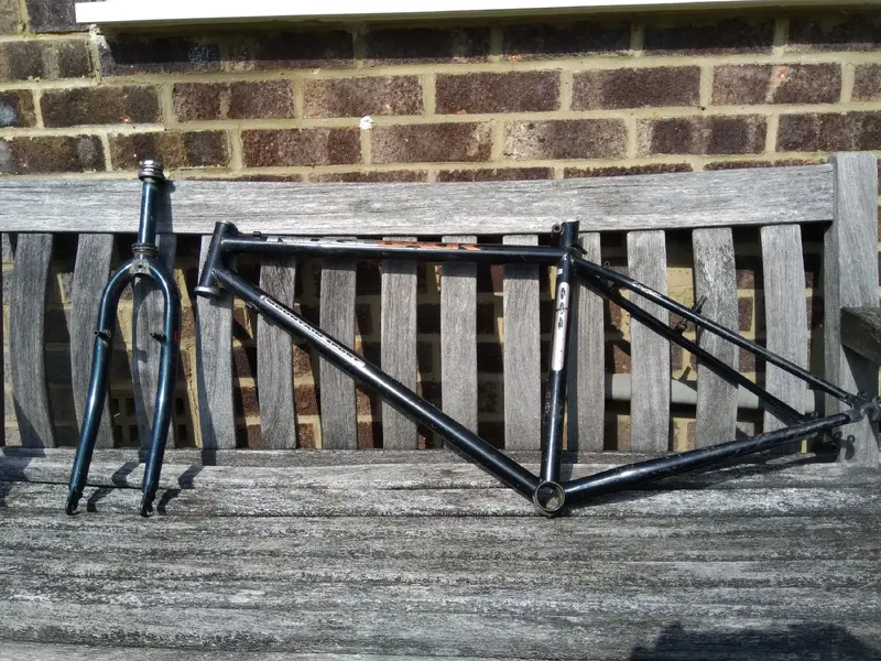 Ridgeback604GX-b.webp