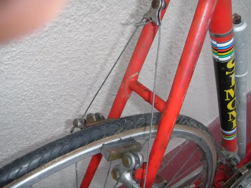P7270134.webp