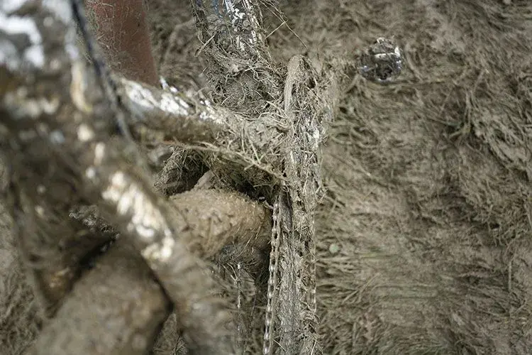 Augustus_Farmer_Mountain_Mayhem14.webp